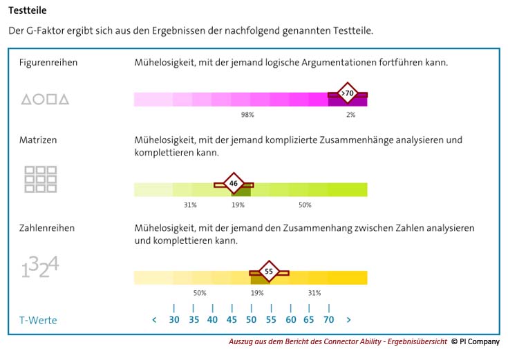 Auszug aus dem Bericht des F&auml;higkeitstests Connector Ability im Online-Assessment
