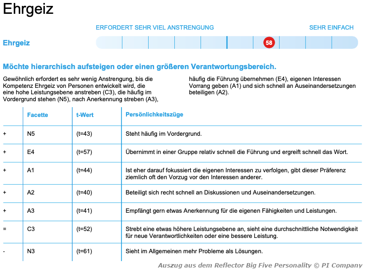 Auszug Kompetenzbericht Big Five Pers&ouml;nlichkeitsfragebogen "Reflector Big Five Personality", basierend auf dem Big Five Pers&ouml;nlichkeitsmodell